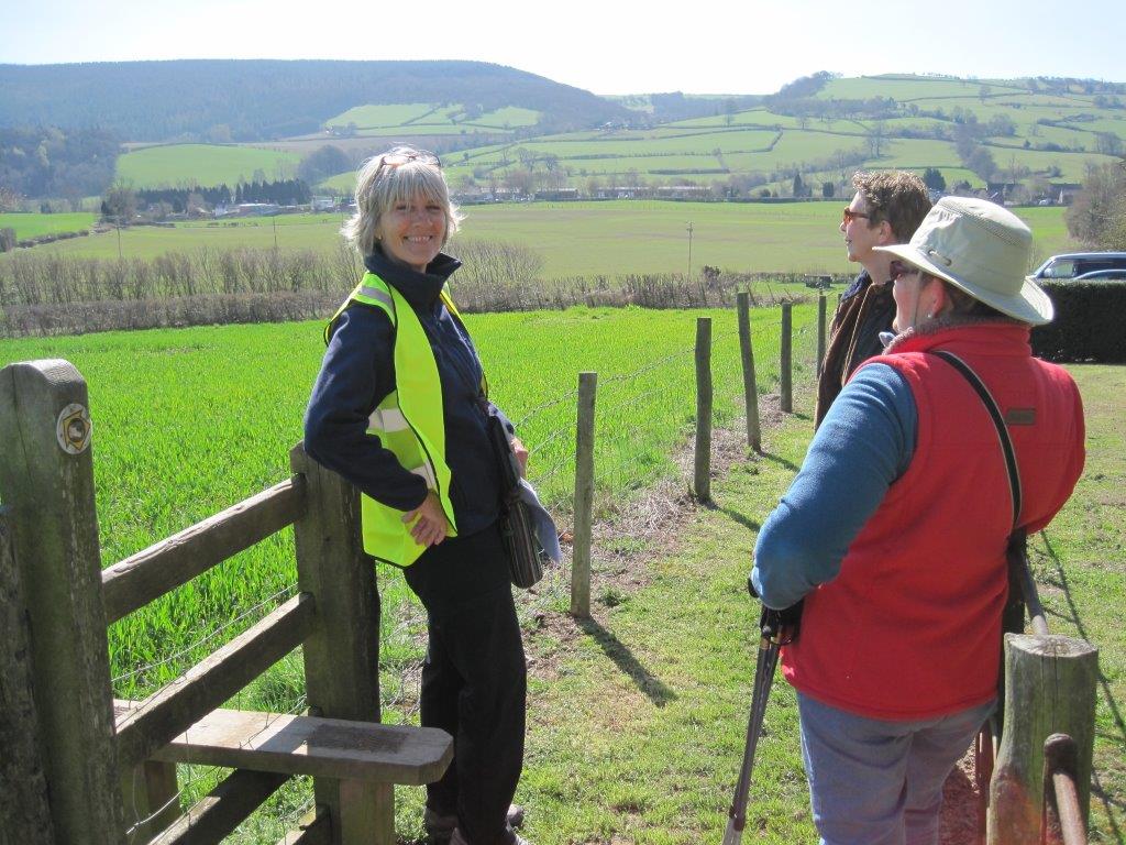 guided walks