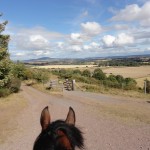 Horse riding at Lyth Hill
