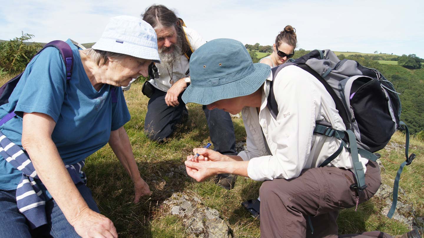 Volunteers working in the countryside