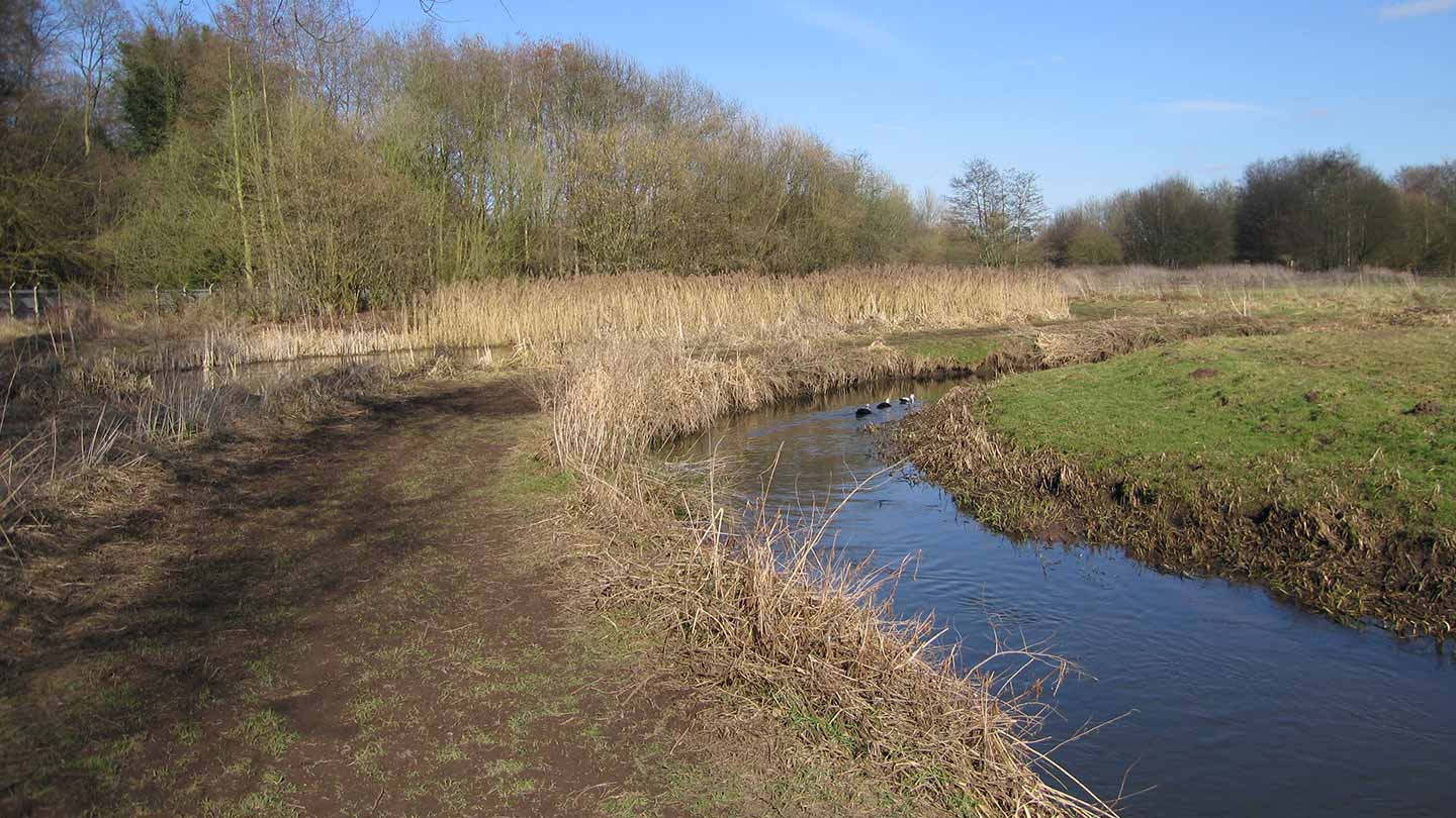 Along the river bank of River Tern