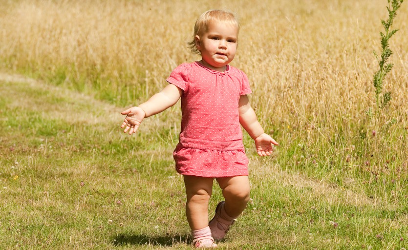 Toddler walking through a meadow