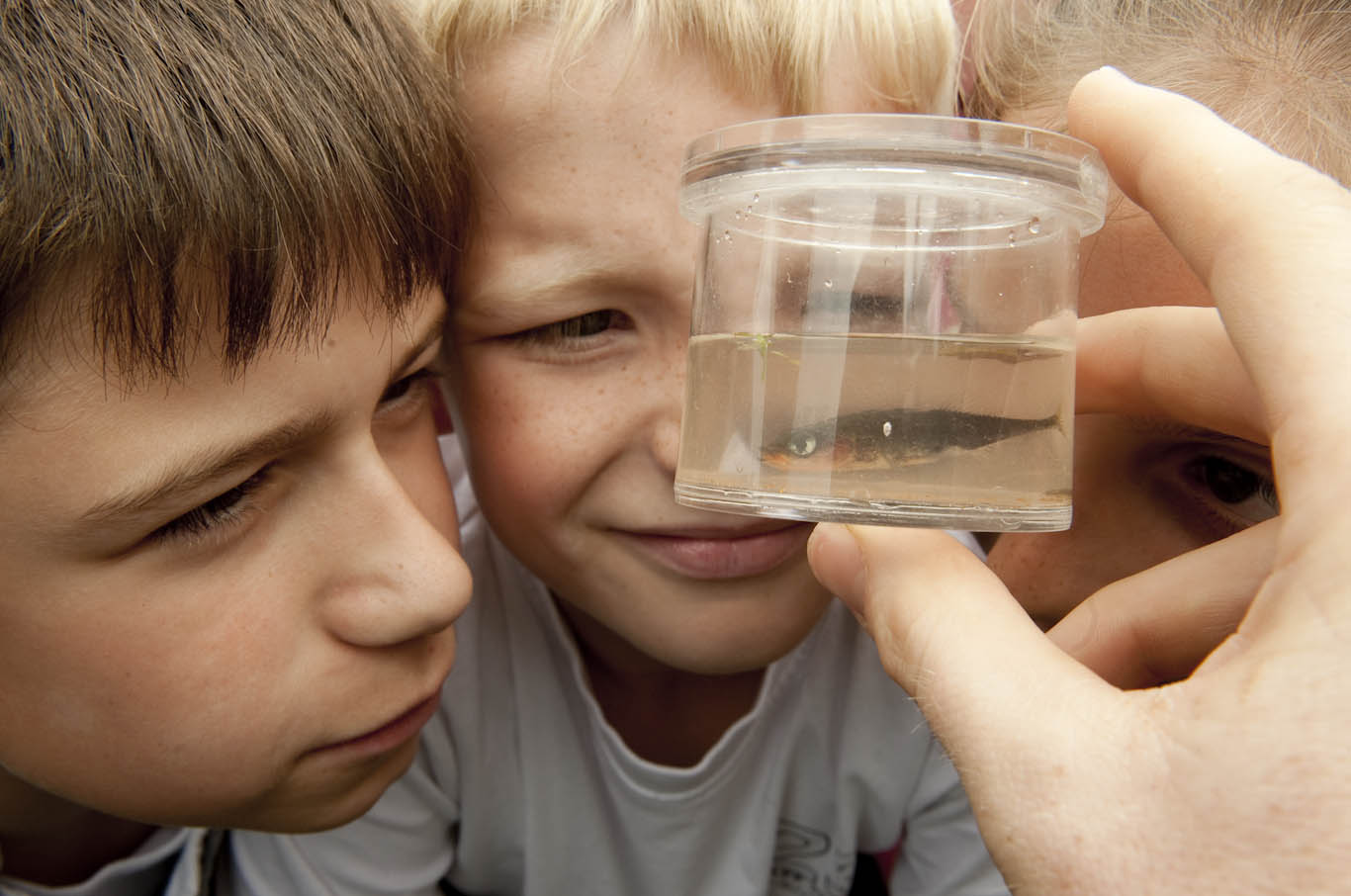 Children looking at a fish at Severn Valley Country Park