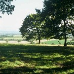 Lyth Hill view