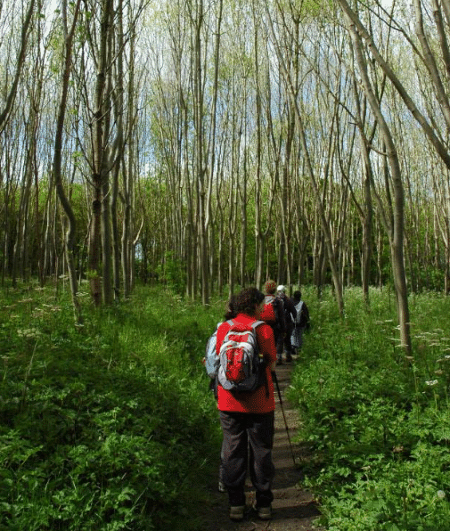 A featured image for the news item: Whitchurch Walking Festival 20th May-22nd May 2016