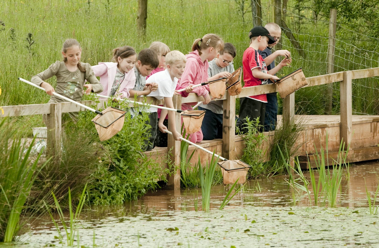Children with fishing nets at Severn Valley Country Park