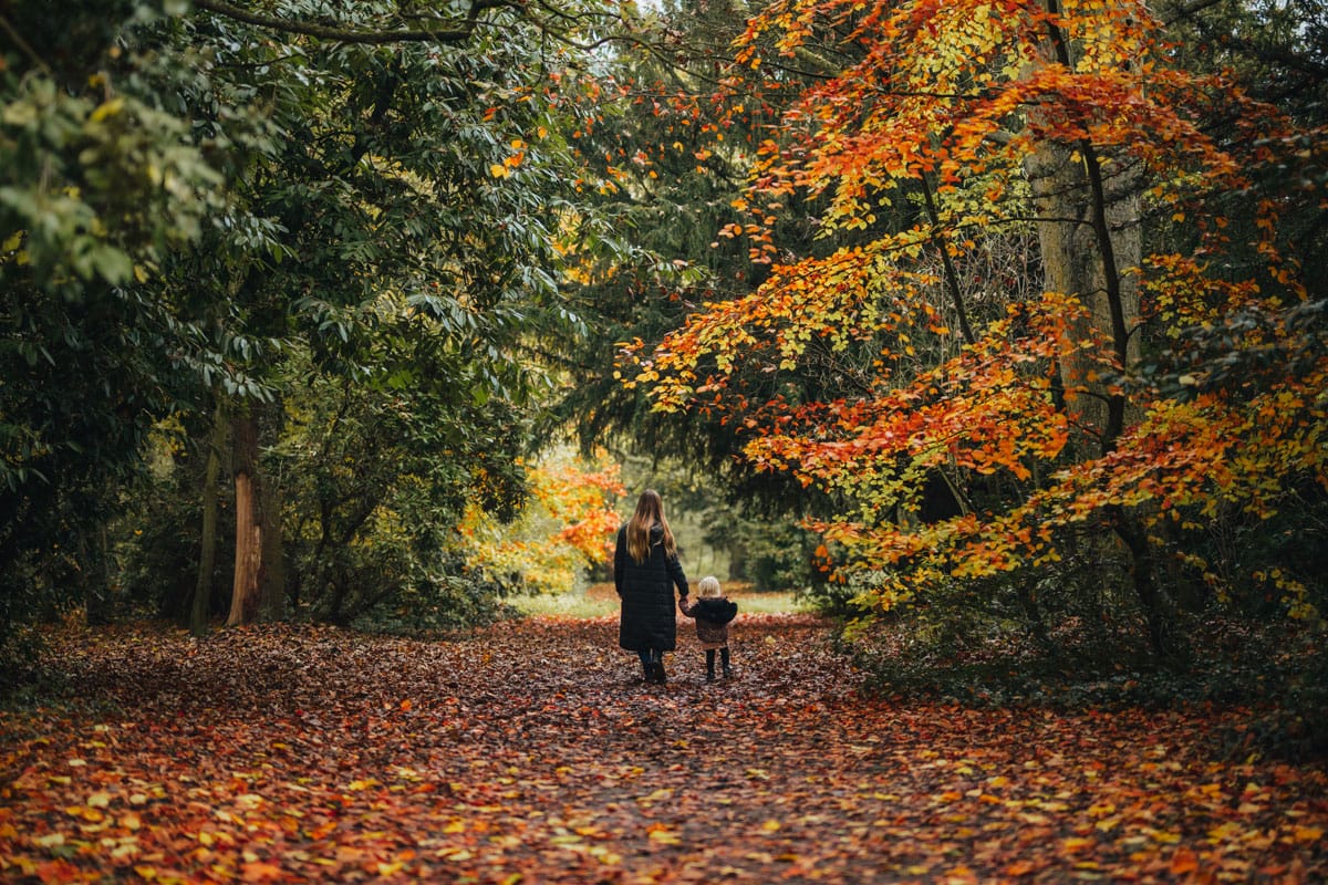 Walking in the autumn leaves