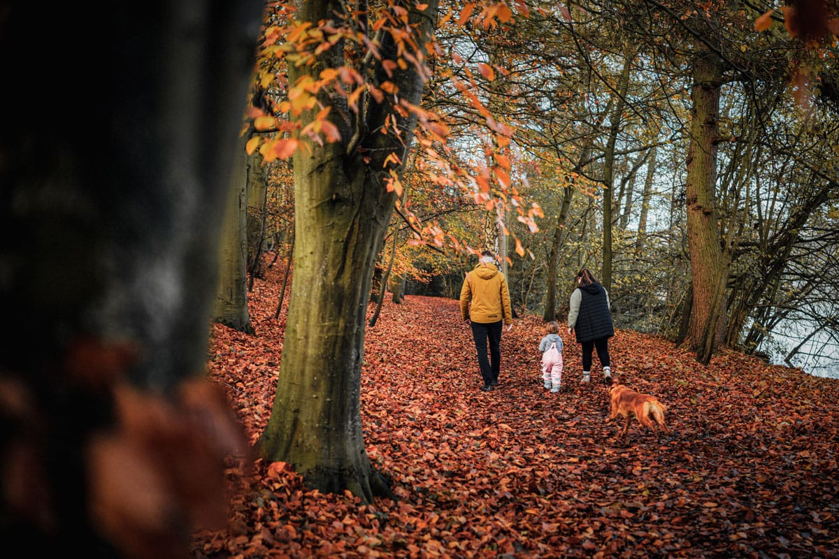 A family walking through a wood near Ellesmere in autumn