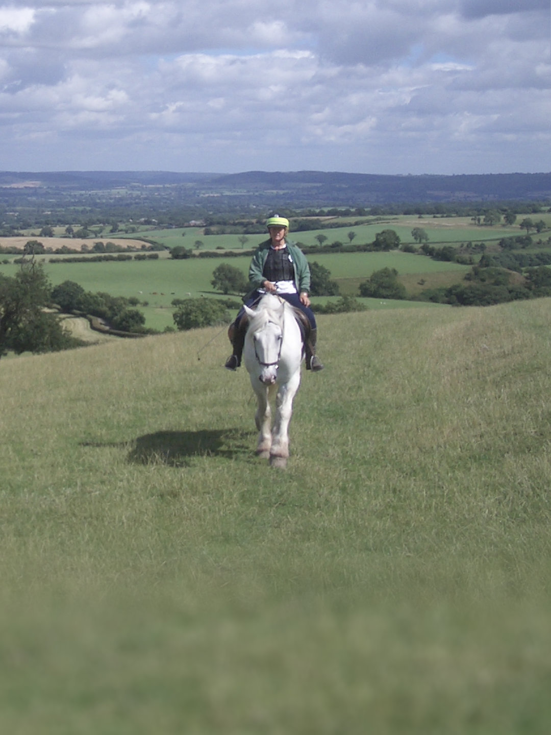 Horse riding on Cothercott Hill