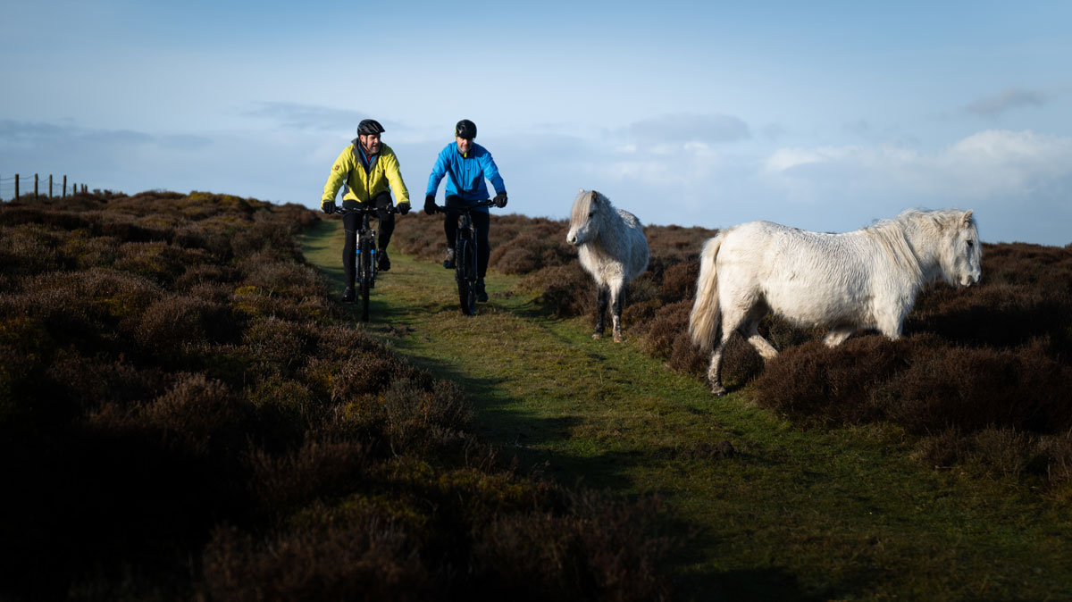 2 men mountain biking on the long mynd