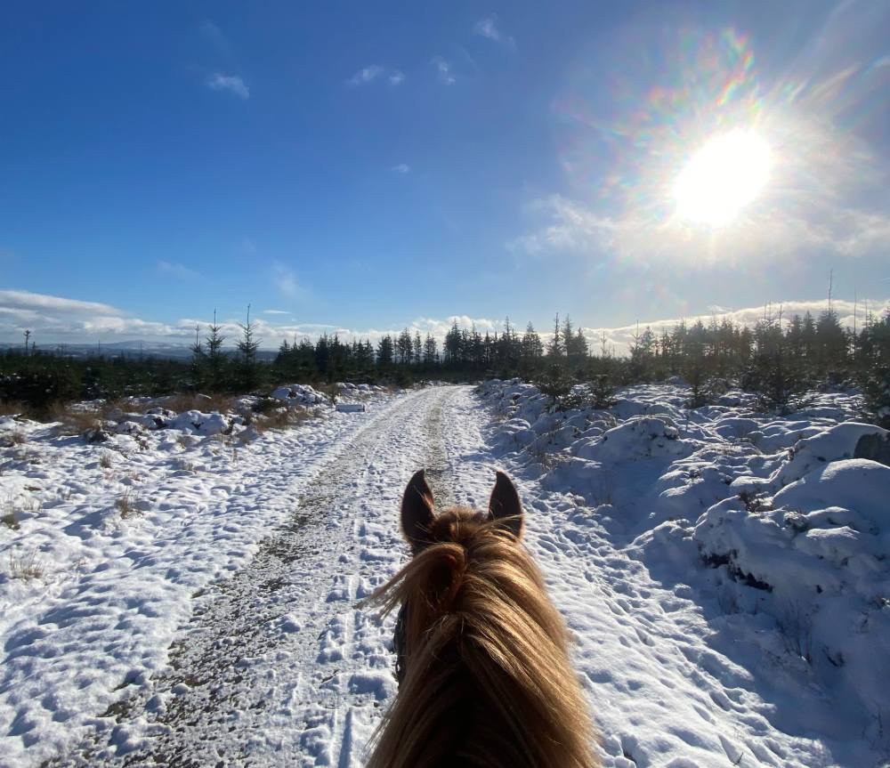 Horse rider in snow - kerryridgeway