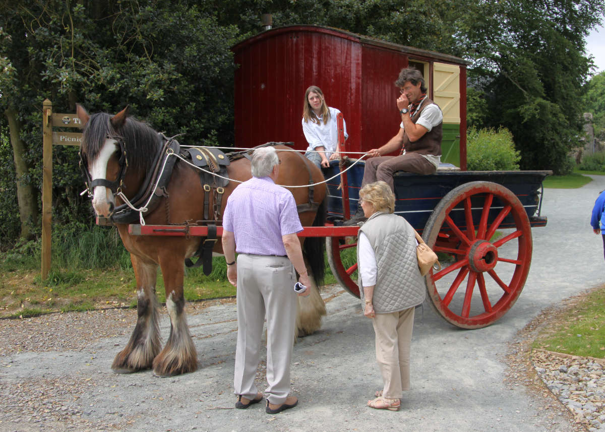 A group of people with a horse and carriage