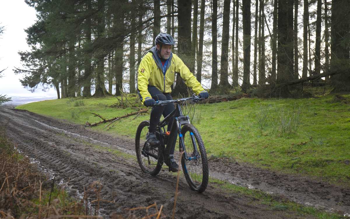 Man cycling in forest