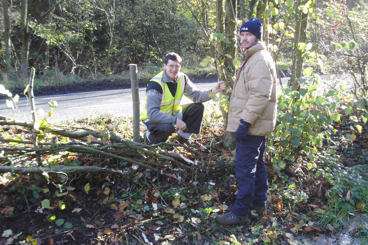 Volunteer hedgelayers at Hope Valley Wildlife Trust Reserve