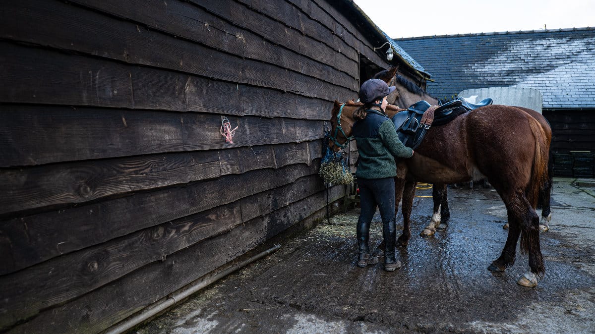Stable in shropshire