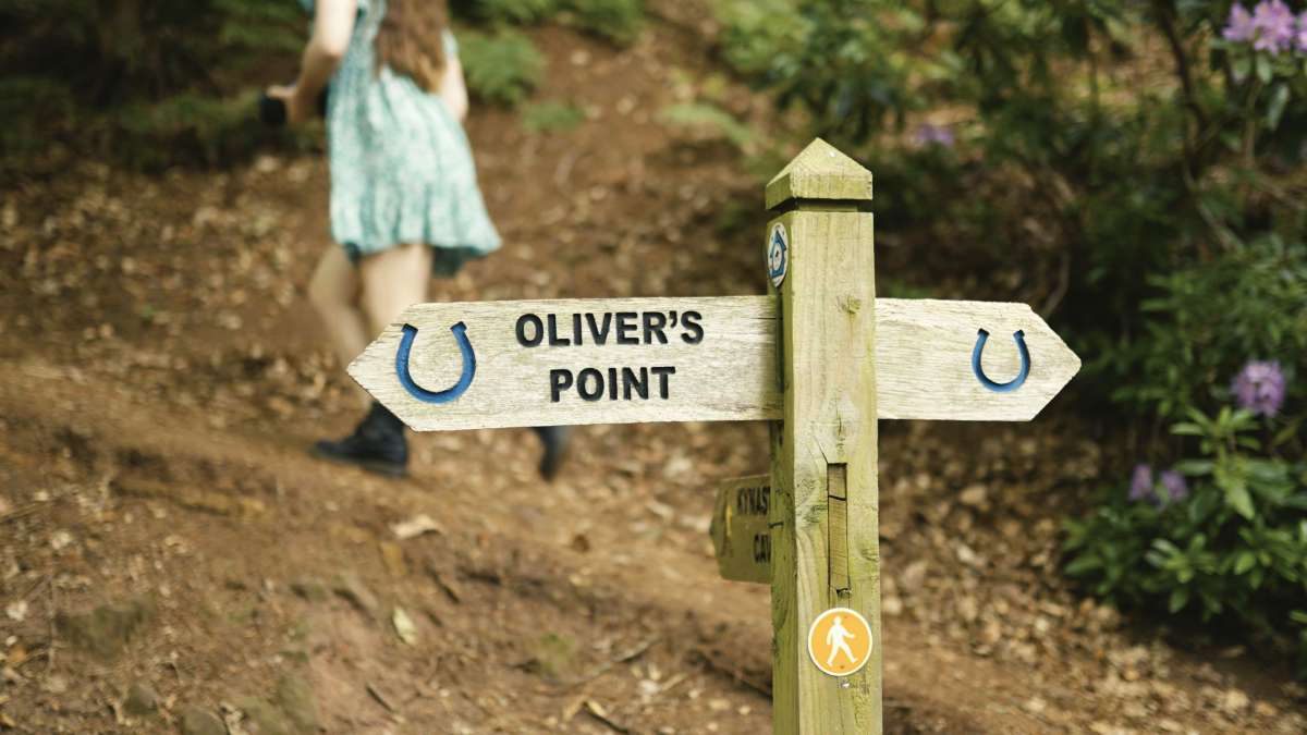 Oliver Point sign post