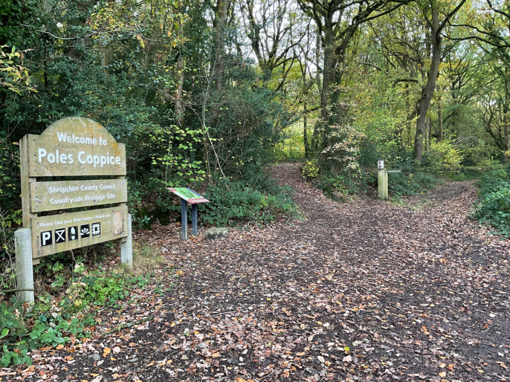 Picture showing the Car Park at Poles Coppice