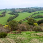 Photo of a view from the top of the motte-and-bailey mound at Castle Pulverbatch. A bench with two people sat on is also visible in the picture.