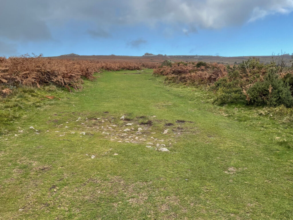 Photo showing the path leading to the ridge at The Knolls.