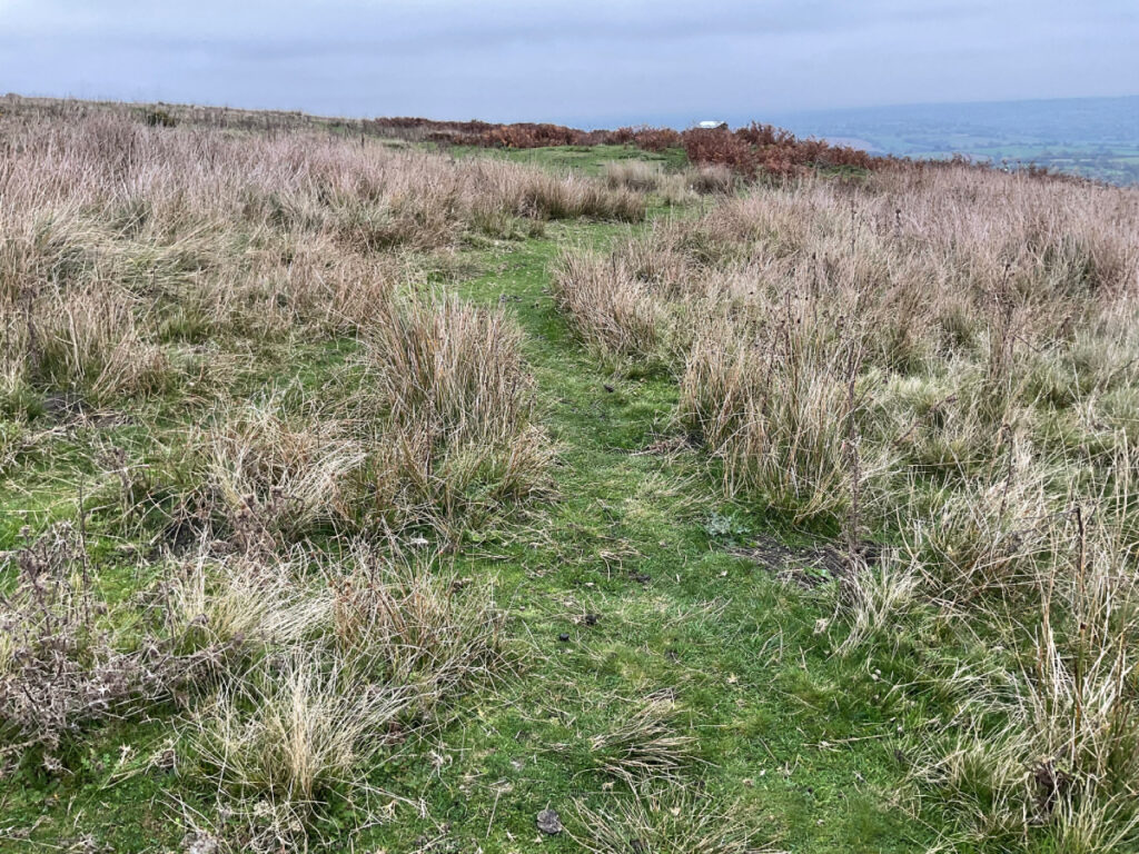 Picture showing the grassy path to the toposcope at Clee Hill.