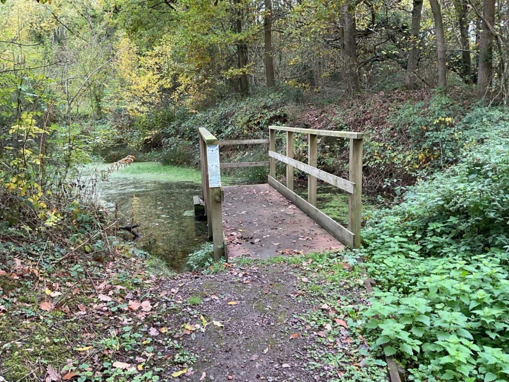 Photo of a Pond Dipping Platform at Poles Coppice.