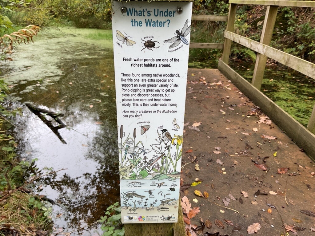 Photo of an interpretation board located at the pond in Poles Coppice.