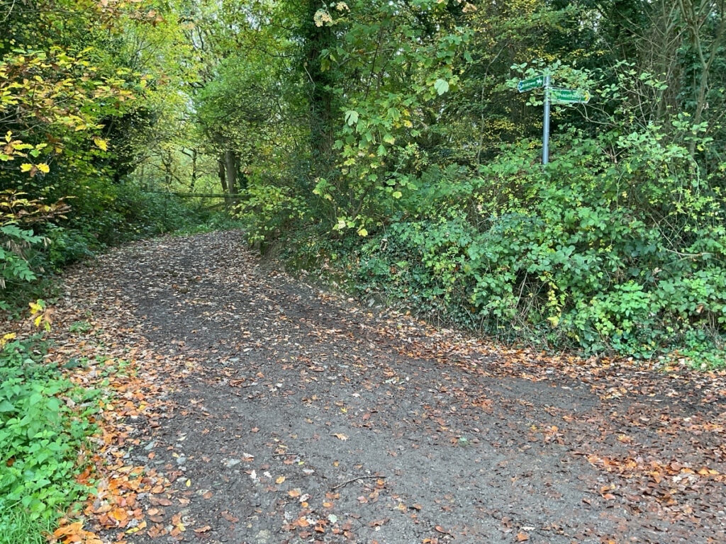 Photo showing route from Poles Coppice car park to the picnic area showing the gradient and surface type of the route with a fingerpost.