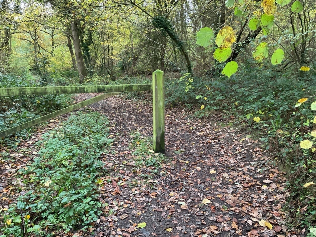 Photo of a single wooden barrier on the route to the viewpoint at Poles Coppice.