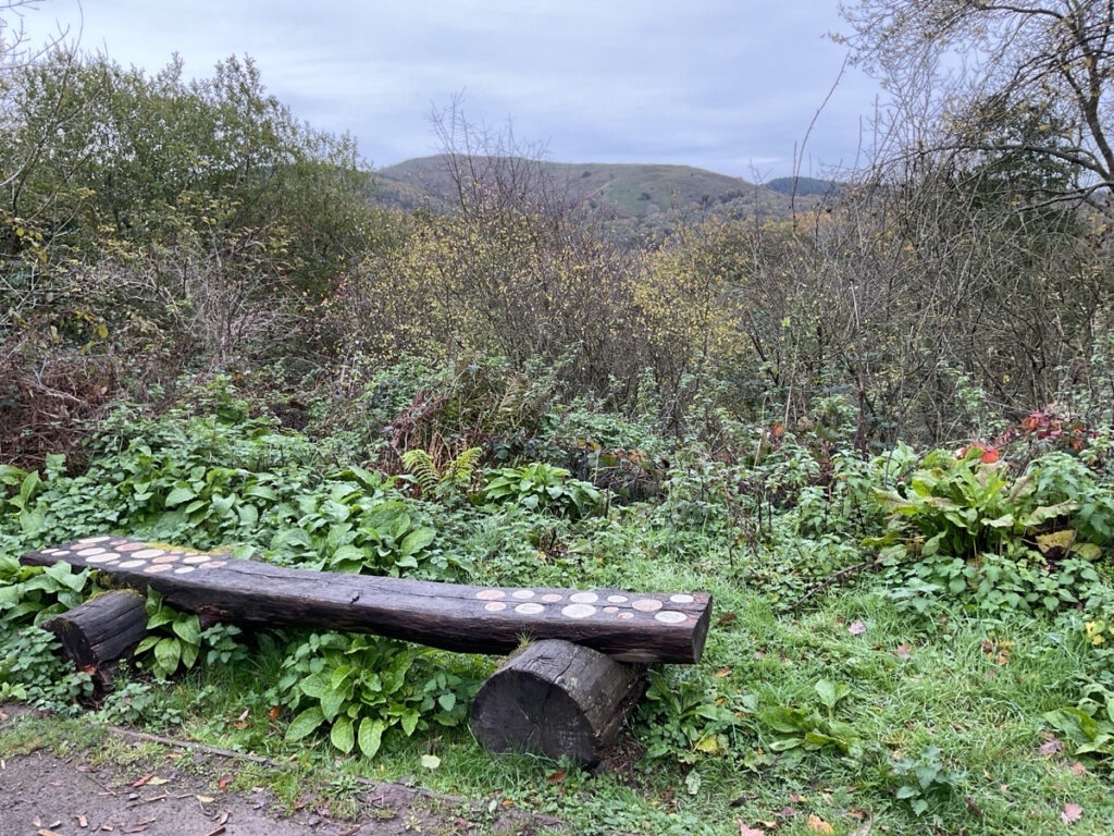 Photo Showing a Picnic Bench at the Poles Coppice viewpoint with Earl's Hill in the background.