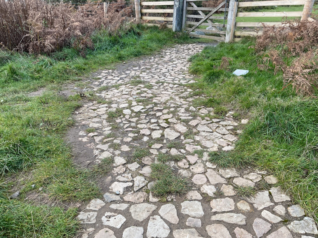 Photo showing the uneven stone path that leads to the easy access route at The Knolls.