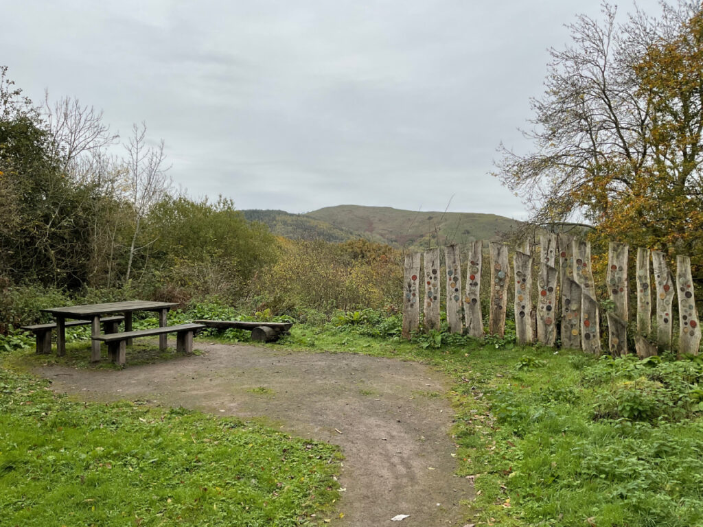 Viewpoint at Poles Coppice with Earl's Hill in the background.