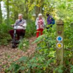 Waymarking at Poles Coppice