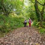 Path at Poles Coppice