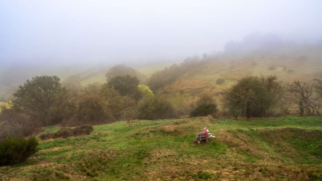Photo of a view from the top of the motte-and-bailey mound at Castle Pulverbatch on a foggy morning. A bench with two people sat on is also visible in the picture.