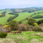 Photo of a view from the top of the motte-and-bailey mound at Castle Pulverbatch. A bench with two people sat on is also visible in the picture.