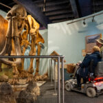 The exhibition at the Discovery Centre, Craven Arms