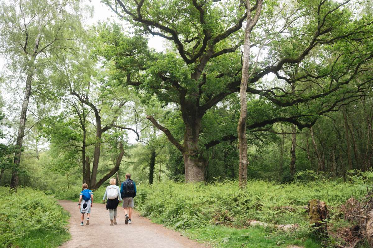 Walking at haughmond hill