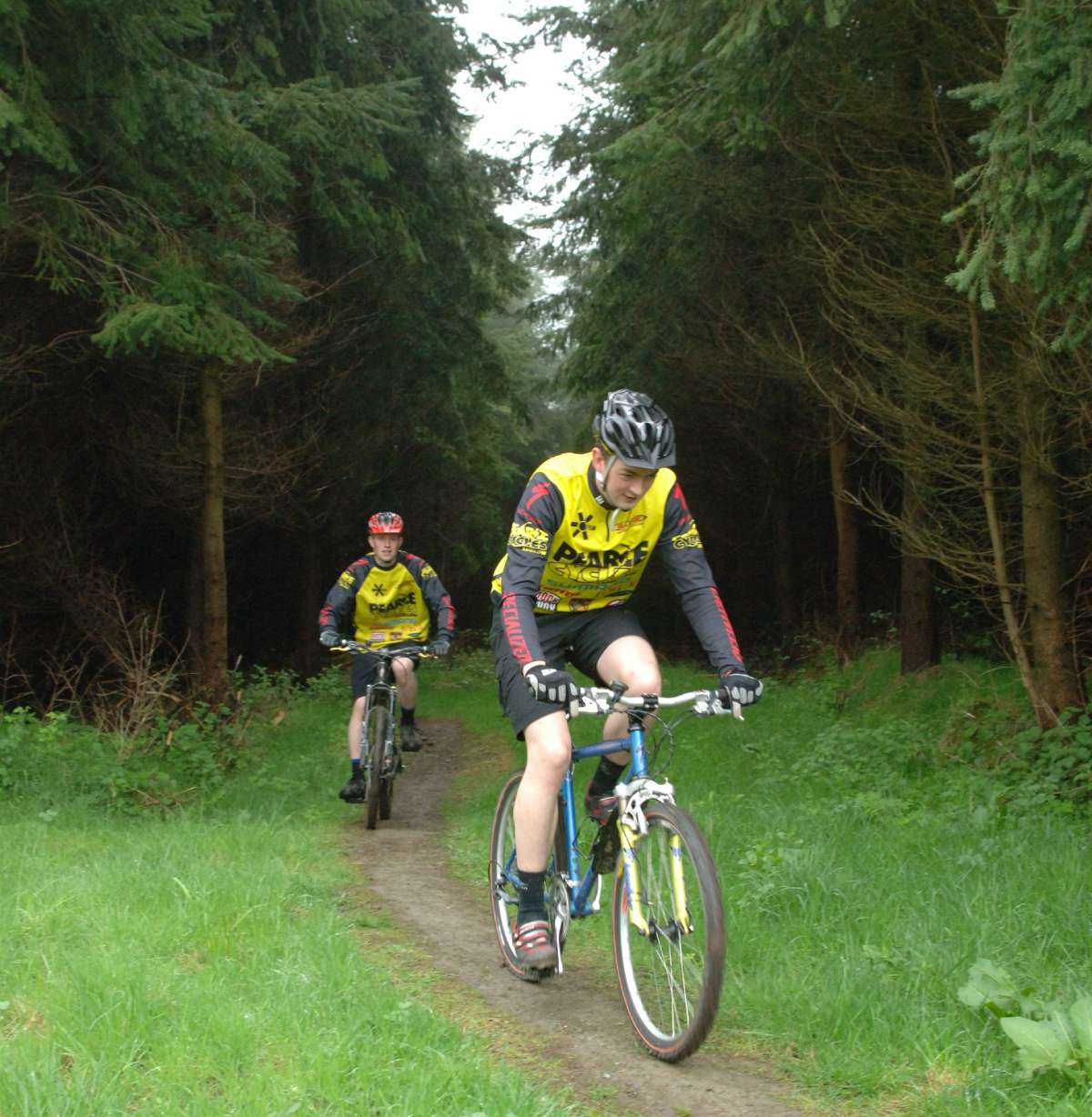 cyclists at hopton wood