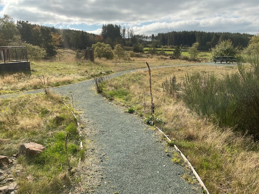 Picture showing the route to the viewpoint at the bog visitor centre.
