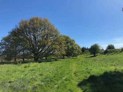 wapley hill fort