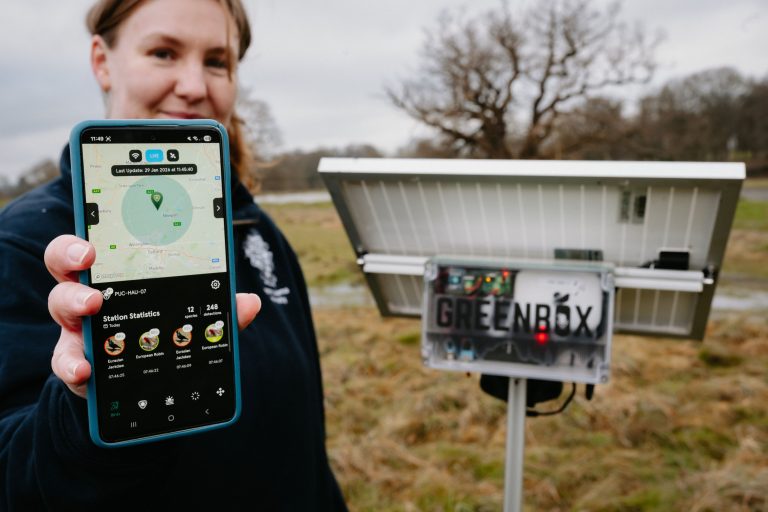 woman holding a mobile phone